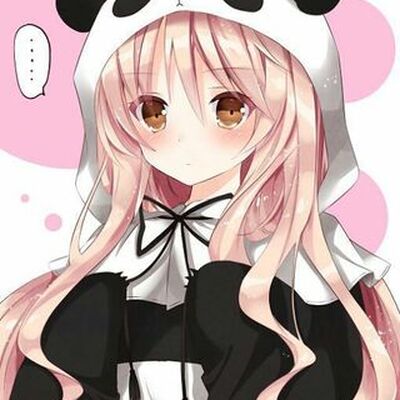 phocohanoi7 phocohanoi7